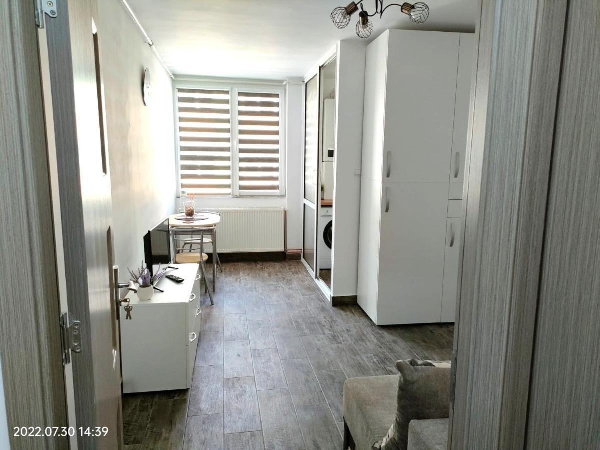 בראשוב Lavanda Studio מראה חיצוני תמונה